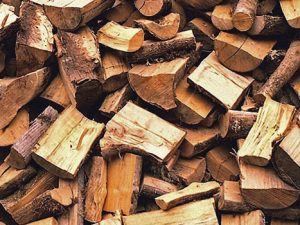 t1 Tree Waste