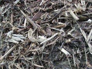t2 Tree Waste