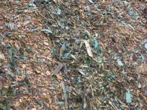 t3 Tree Waste