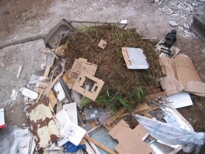 IMG_5068 Mixed Waste (Medium Weight)