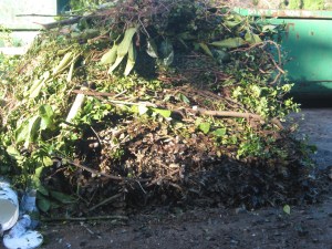 IMG_5075 Green Waste