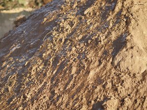 Waste-Soil Clean Fill