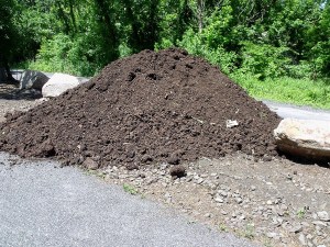 Waste-Type-Soil-3 Clean Fill